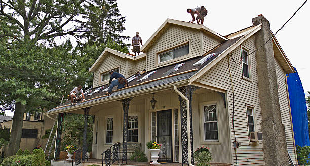 Best Flat Roof Repair Services  in Berthoud, CO